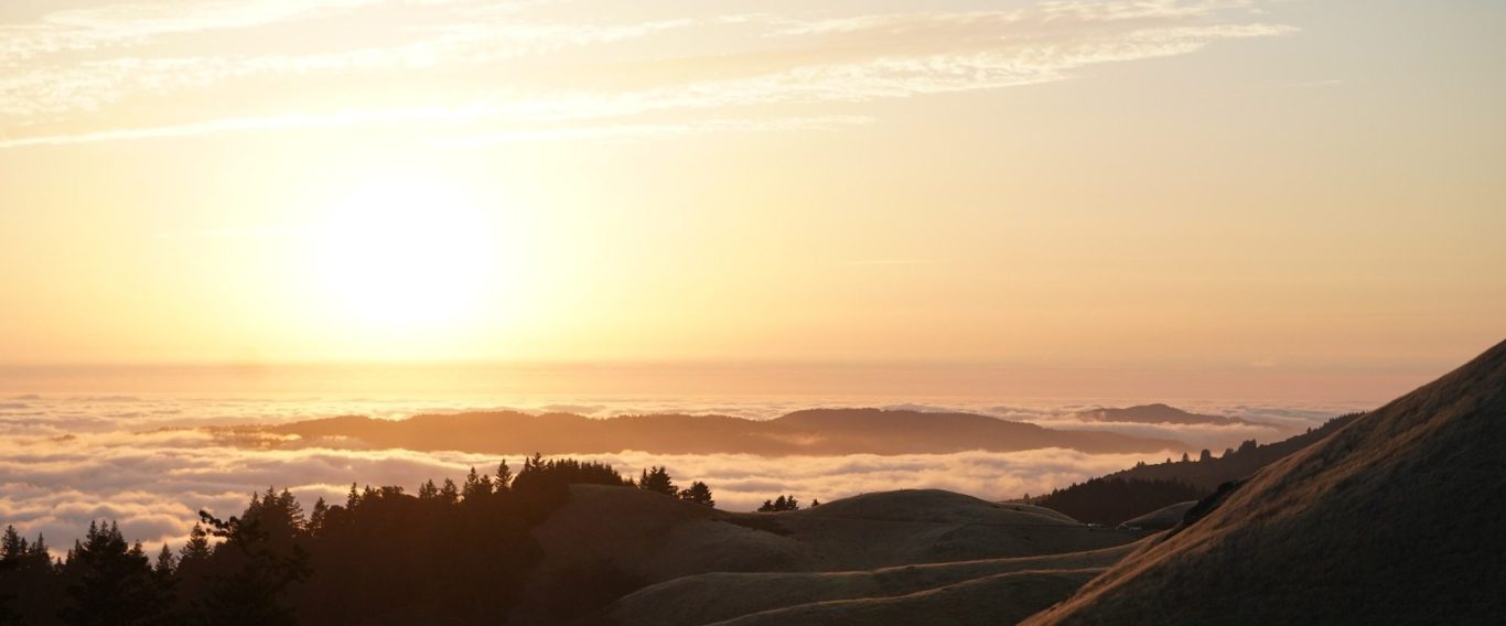 Coach und Klient im Gespräch – systemisches Coaching in Düsseldorf-Kaiserswerth